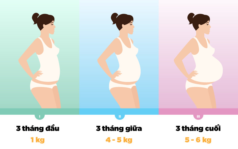 mẹ bầu tăng cân như thế nào là hợp lý khi mang thai 
